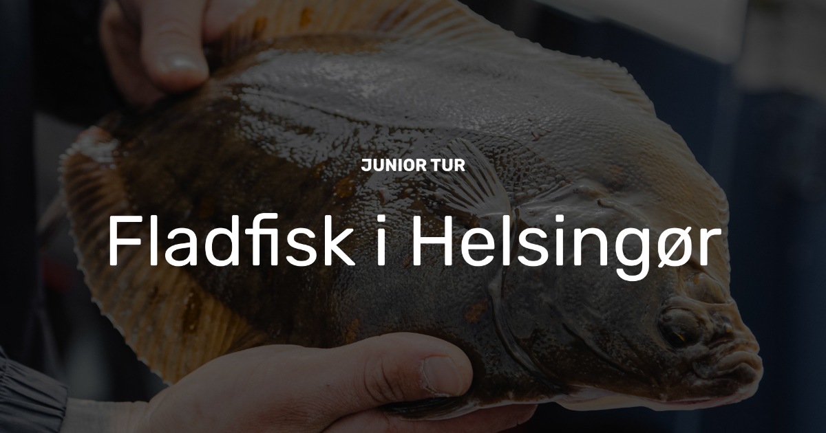 FKK-junior-fladfisk.jpg